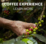 Decaf Altissio Espresso Capsules